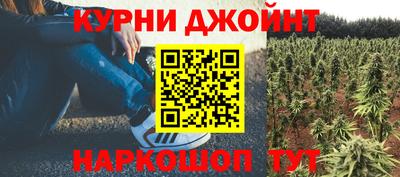 прущие грибы Кулебаки